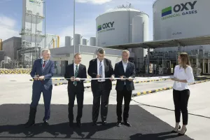 Aldo Fumagalli Romario. Paolo Tricgilo. Bernardo Sestini, Darko Bekić