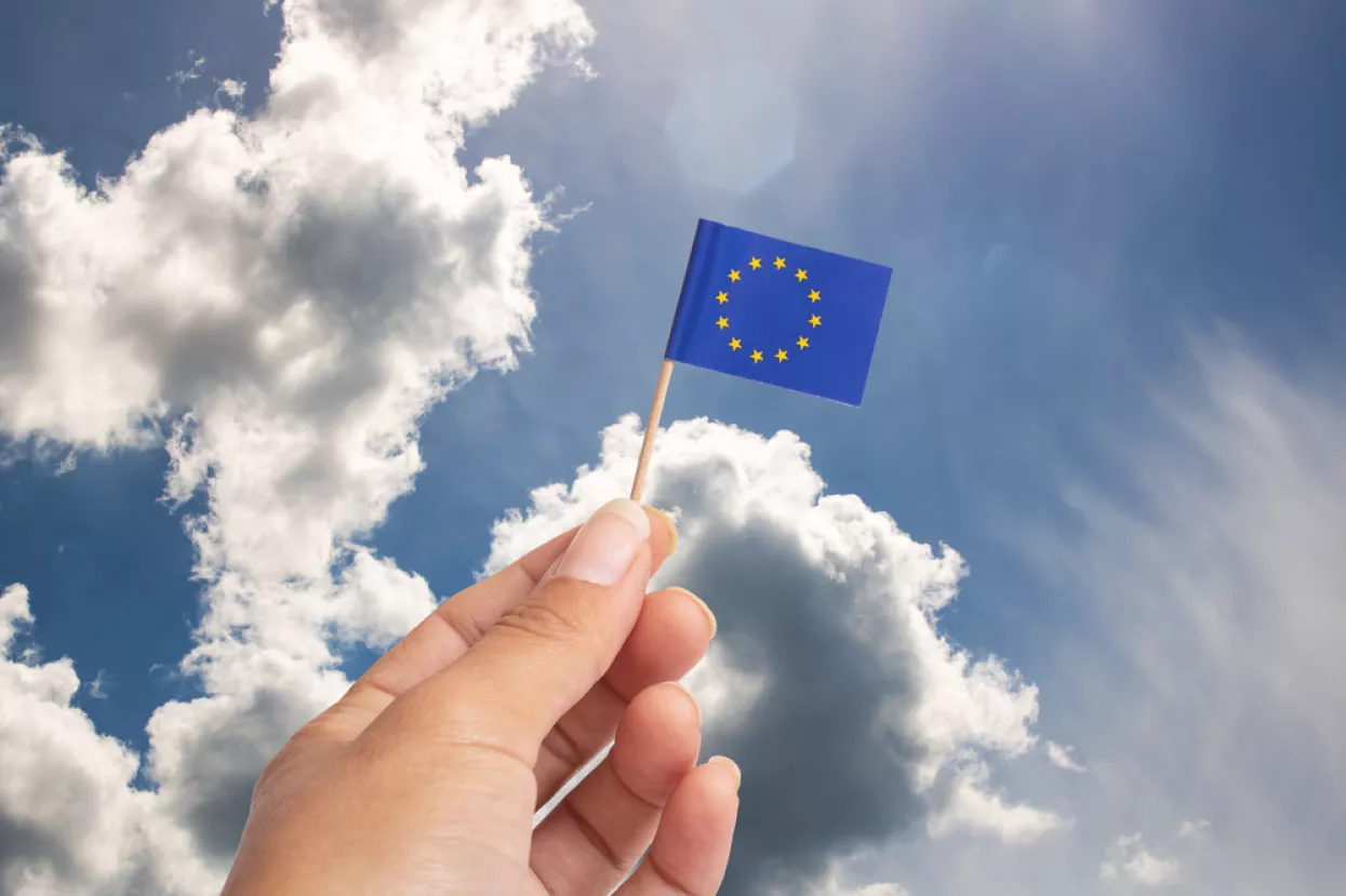 male europske tvrtke, EU, europa, zastava EU, eurozona