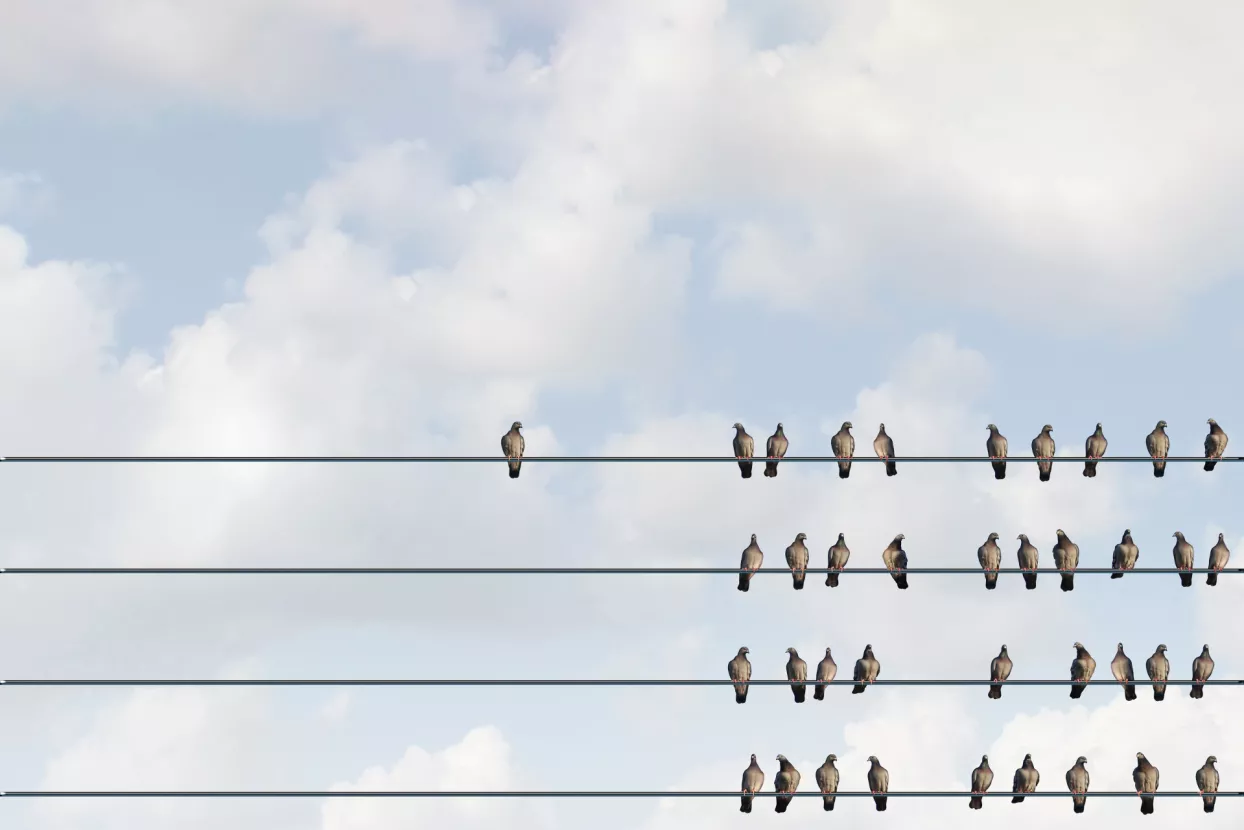 Tržišna niša: Što je specijalizacija uža, to je prilika za globalni uspjeh veća