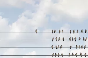 Tržišna niša: Što je specijalizacija uža, to je prilika za globalni uspjeh veća