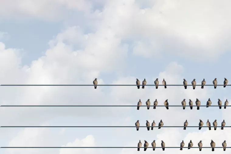 Tržišna niša: Što je specijalizacija uža, to je prilika za globalni uspjeh veća