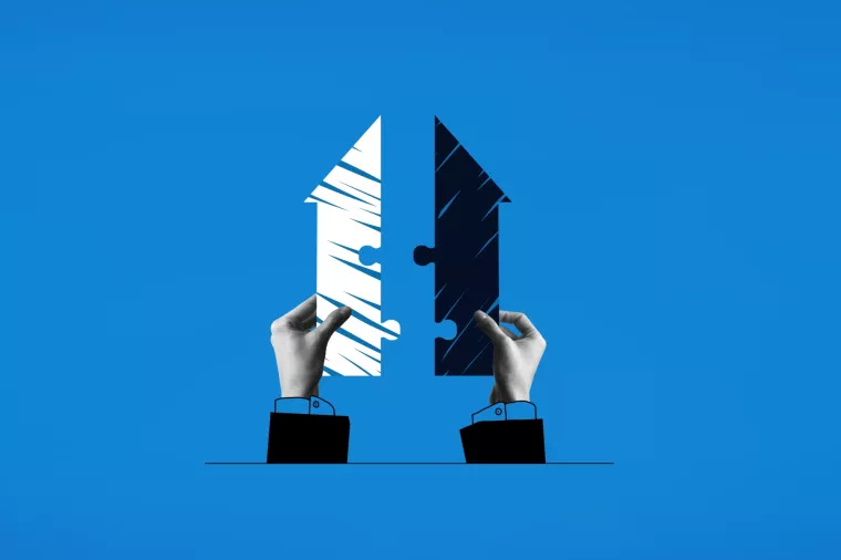 akvizicija, spajanje