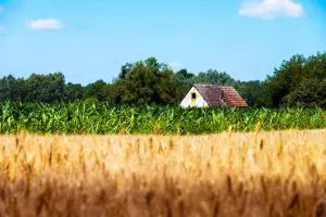 Hrvatska, Lonja, poljoprivreda