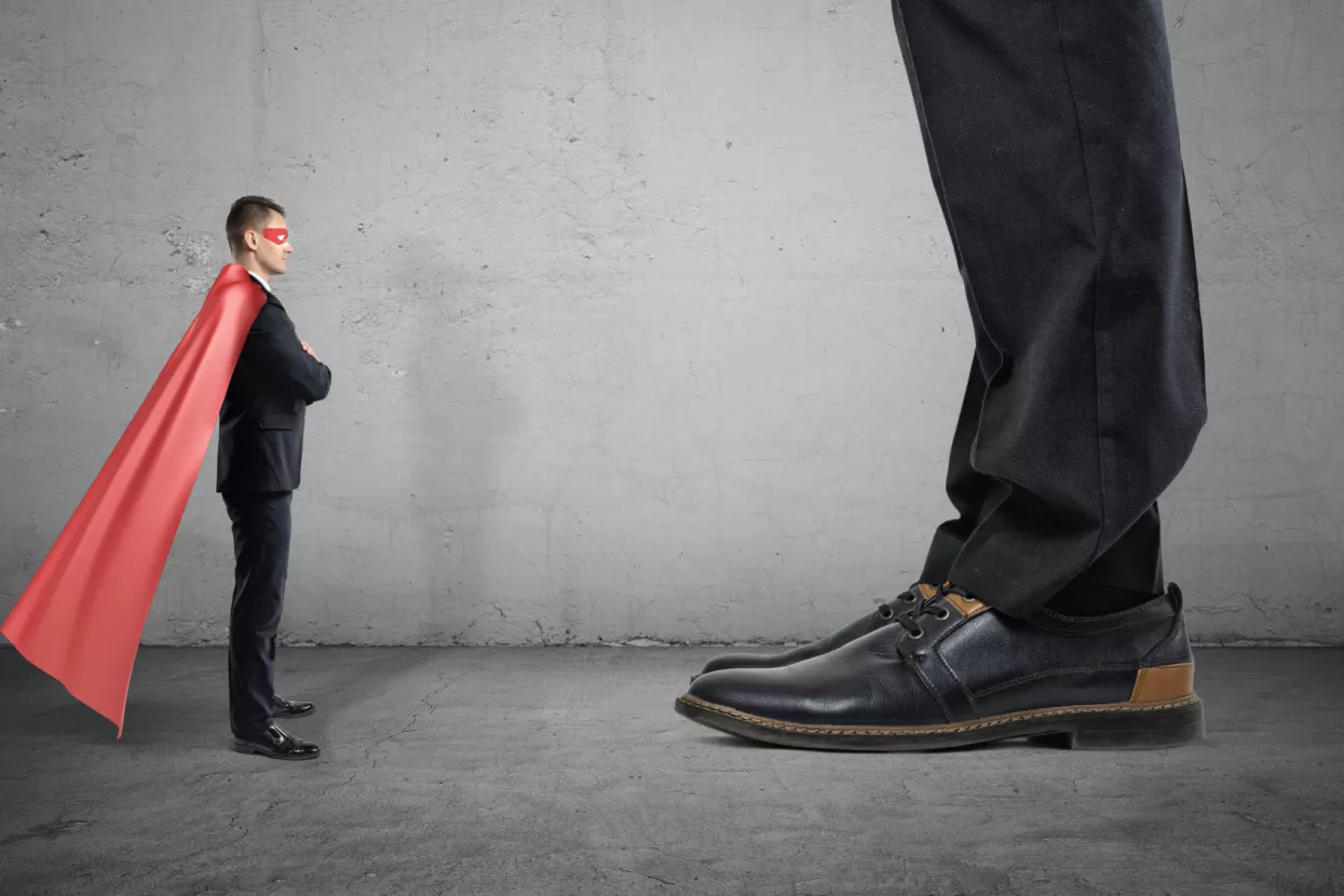 male tvrtke, najbolje tvrtke, mali divivi