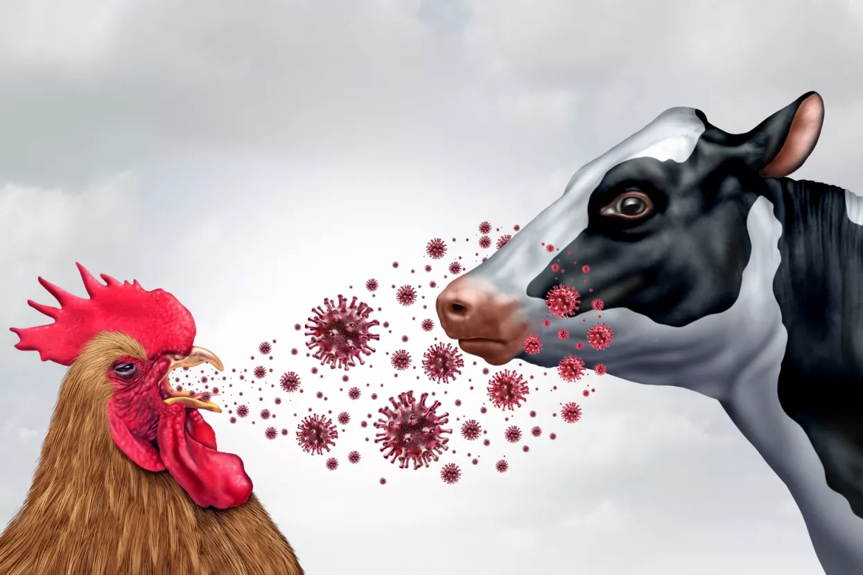 Biosigurnost: Hrvatska iz svojih pogrešaka ništa nije naučila