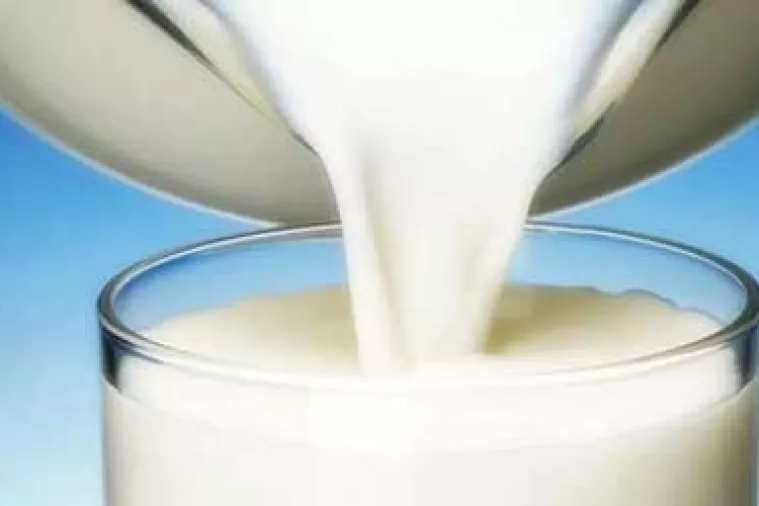 HUP: Poduzeti hitne mjere za spas hrvatske mliječne industrije