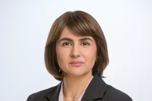 Nikolina Dizdar Čehulić,predsjednica Uprave Plive Hrvatska: 