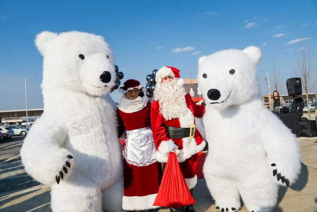 Božić, polarni medvjedi