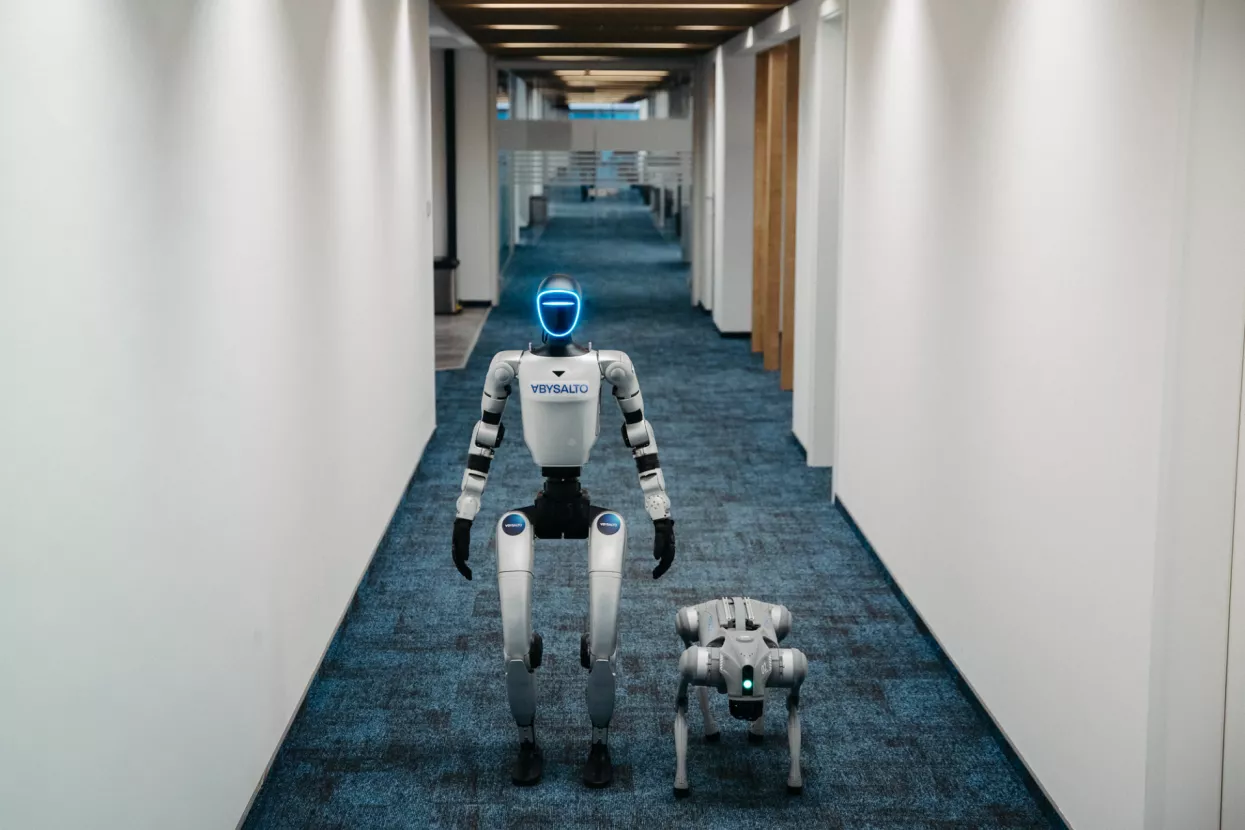 Humanoidni robot i robopas, Abysalto