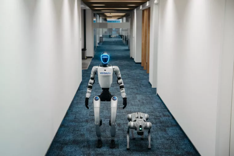 Humanoidni robot i robopas, Abysalto