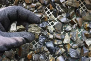 Mine, mining of tin (Sn) ore, as mineral cassiterite (SnO2). Rocks held in gloved hand. Element used in Lithium-ion batteries, coils of superconducting magnets, pigments, solder, plating and bronzekositar, metal
