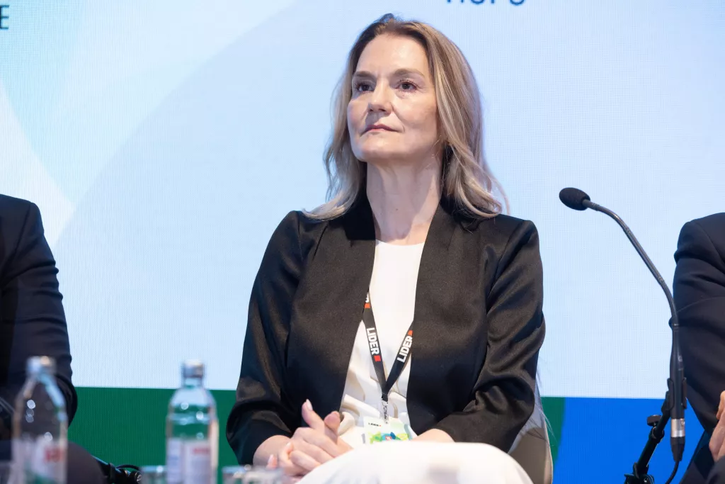 Energetska budućnost Hrvatske 2026.2. okrugli stol: Investicijska klima:Maja Pokrovac