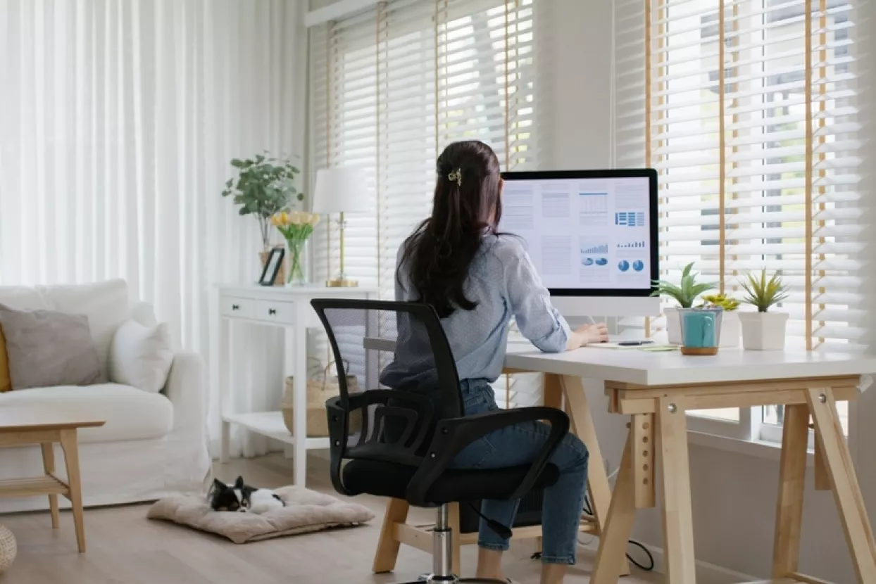 rad od kuće, work from home, home office, hibridni rad, rad na daljinu, rad od doma, kućni ured